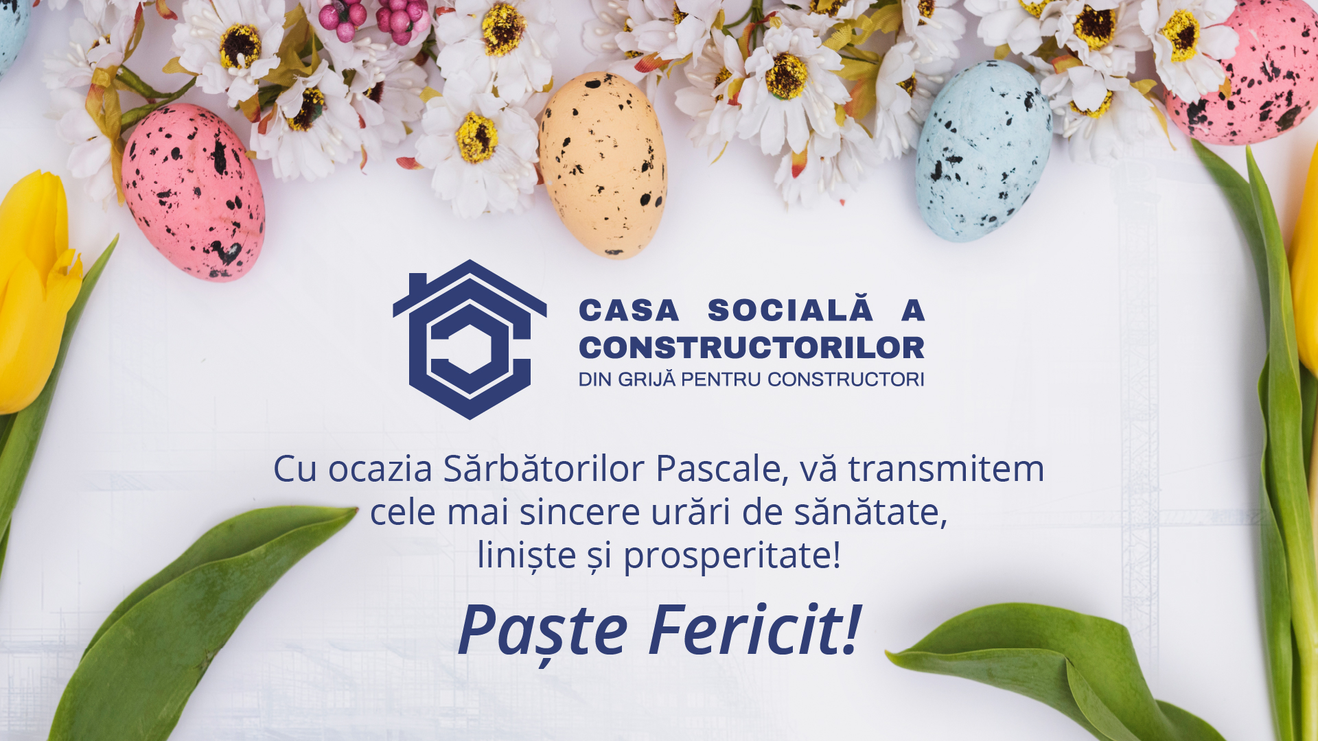 Sărbători fericite!